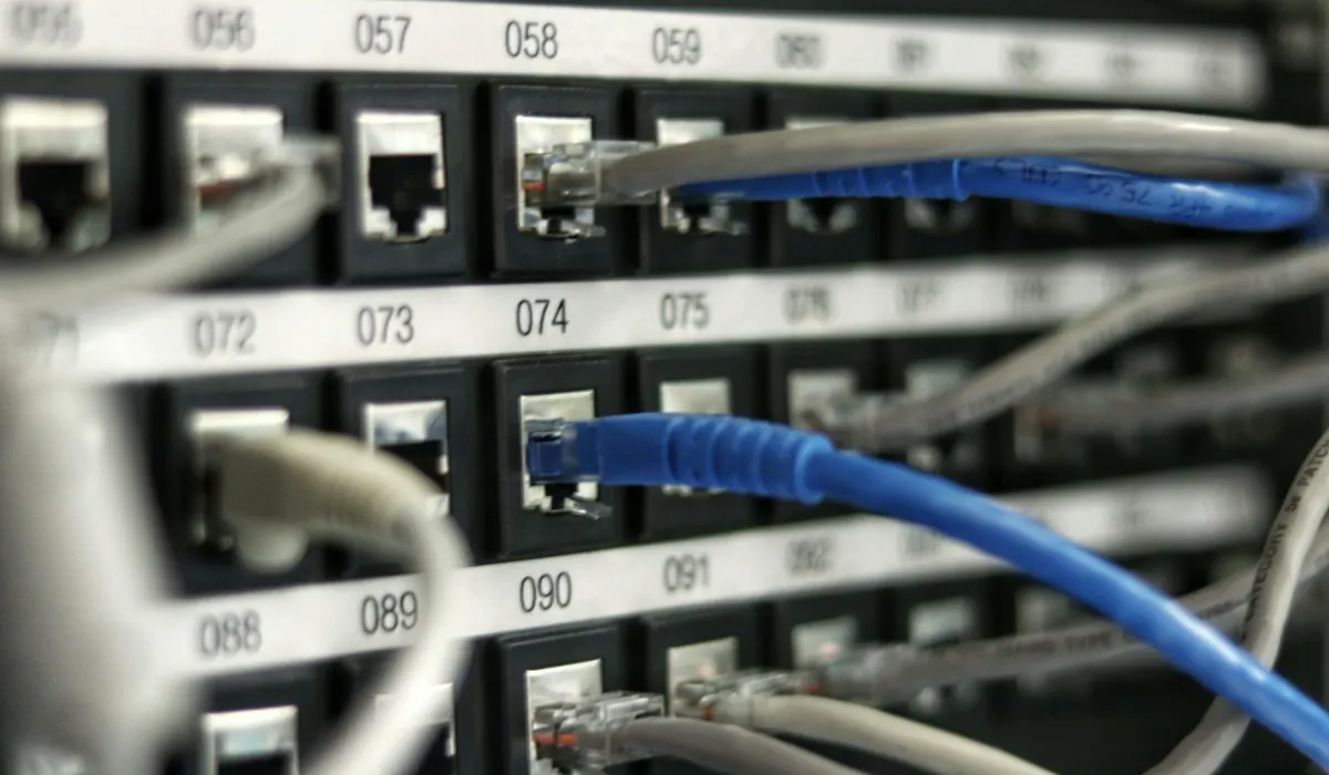 hagel one server — Managed Server